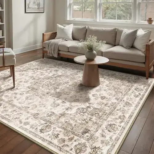 Lunasun Neutral Farmhouse Traditional Rug