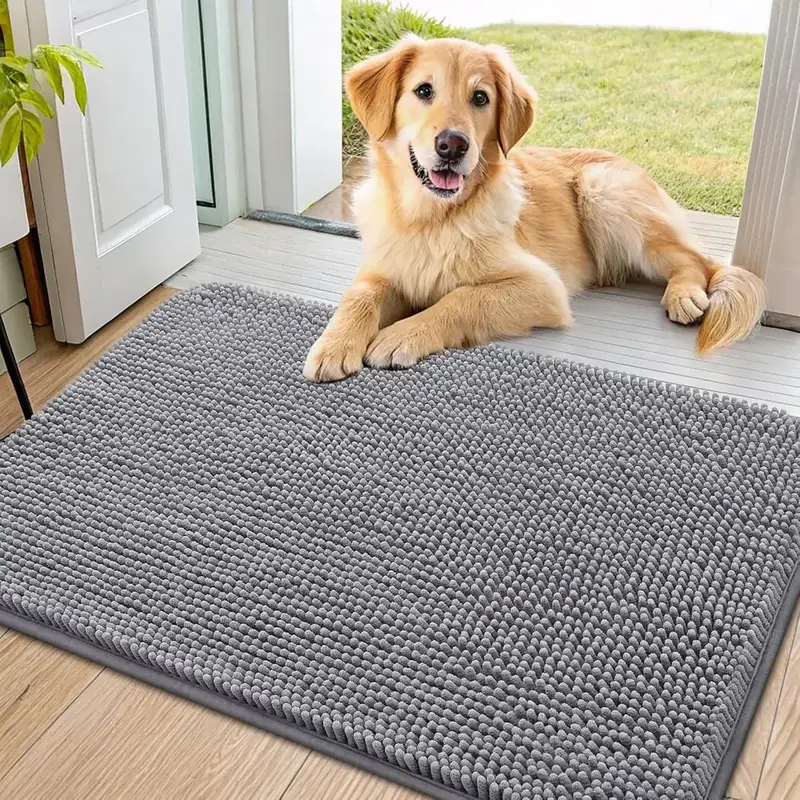 Bcoimo Absorbent Door Rug